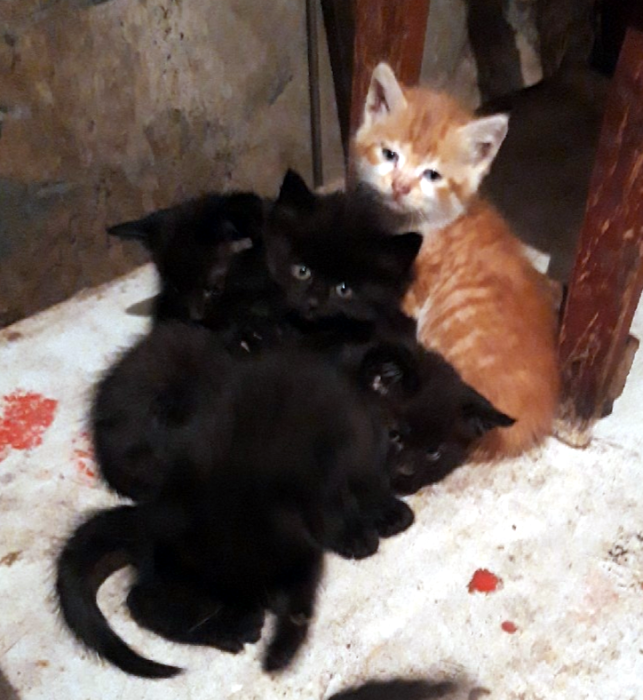 Без названия (2)