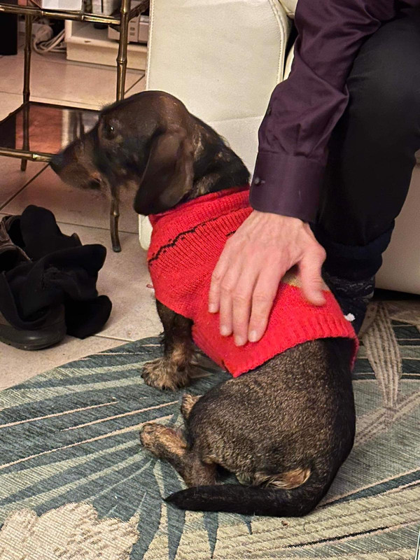 [Image: IMG-20240225-WA0013.jpg]