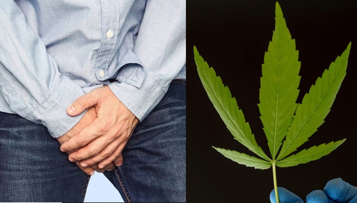 Fumó marihuana y amputó su miembro, los médicos salvan un pequeño muñón