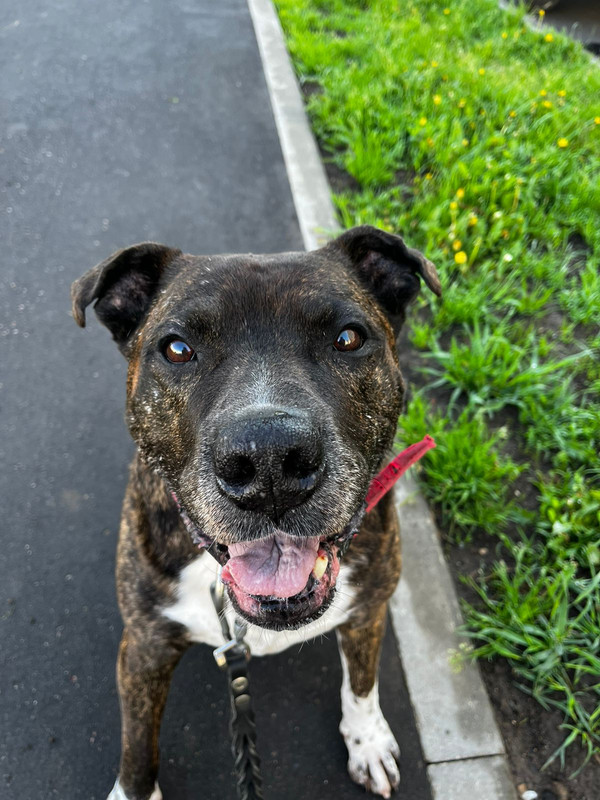 C03B8458-EA19-493A-B51F-8D949FF7B93C