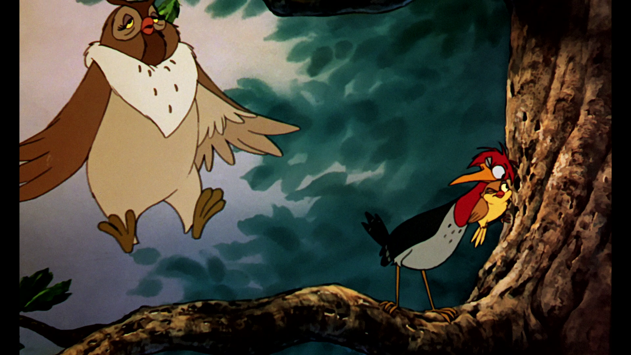 vlcsnap-2023-12-31-11h42m41s623