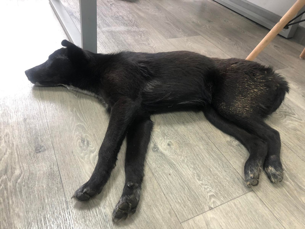 Lv-COquHVEqw6otBbG_U4lX8fDMrwrlVgHVo4ZiEDW4jcSBFvUKFD3XkxCNfLKaoicjGoB7EVrqDwUb2xp8FiC7x