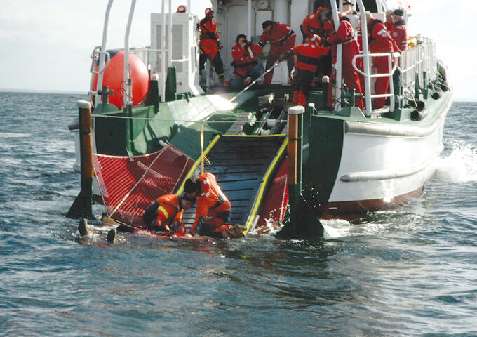 [Imagine: 1530-Rettungssteg-Schiff1.jpg]