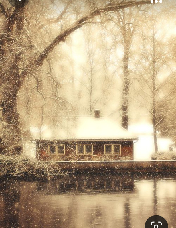 Screenshot_20231103_181554_Pinterest