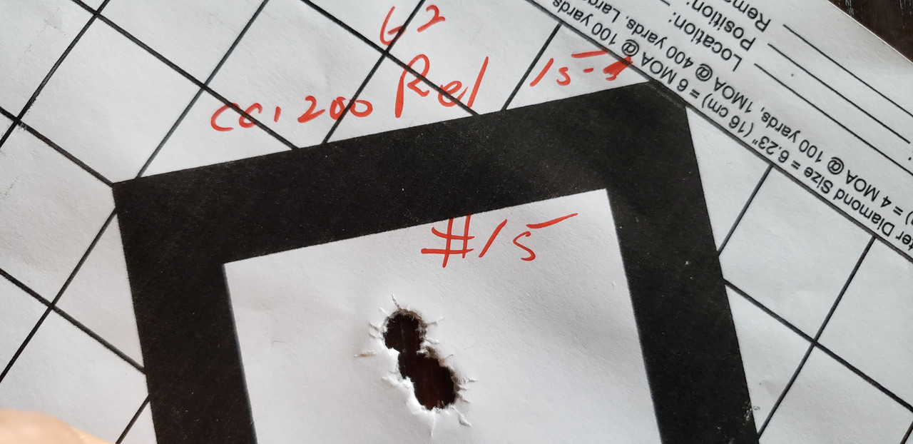 9.3x62 250 TTSX 62 gr Rel 15 CCI 200