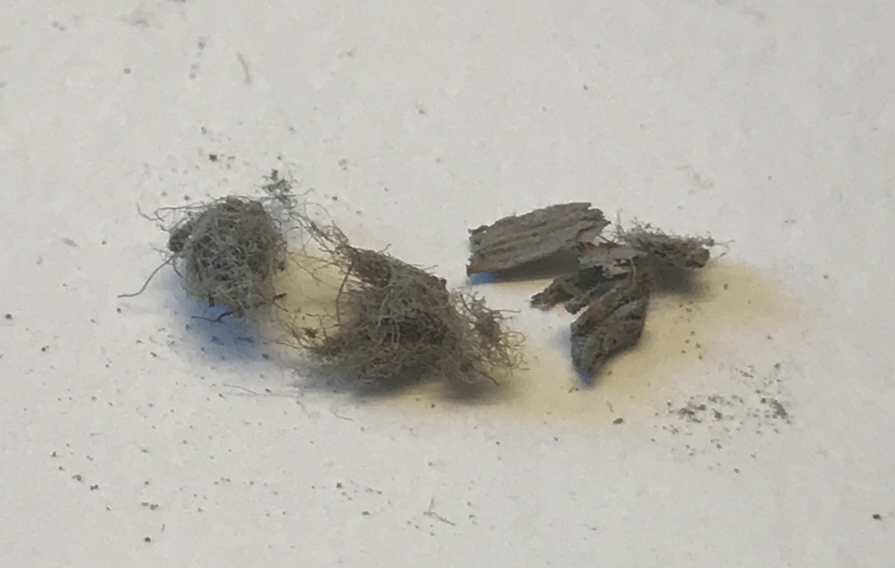 6F4CD061-FD41-40F4-A820-9C6733DF825F