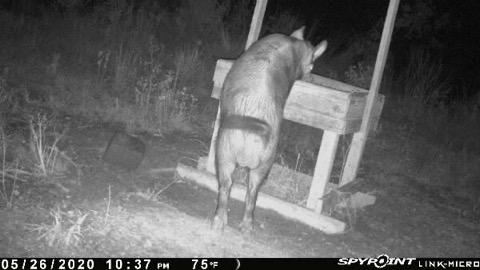 07090A9E-4492-408C-A555-4D5ACFFB75FA