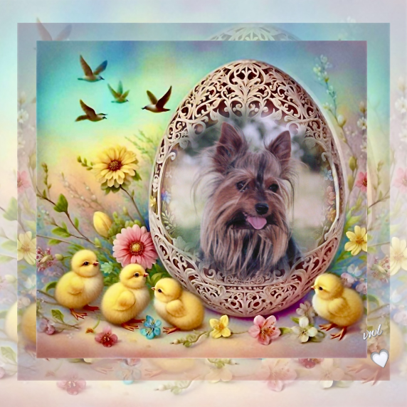 ( a 1 a Pâques Voyou 12