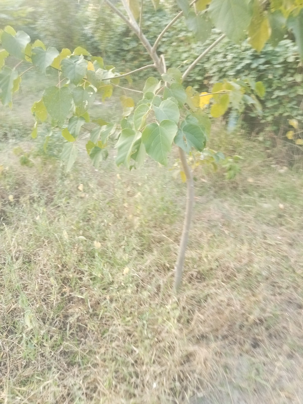 IMG20251016170532