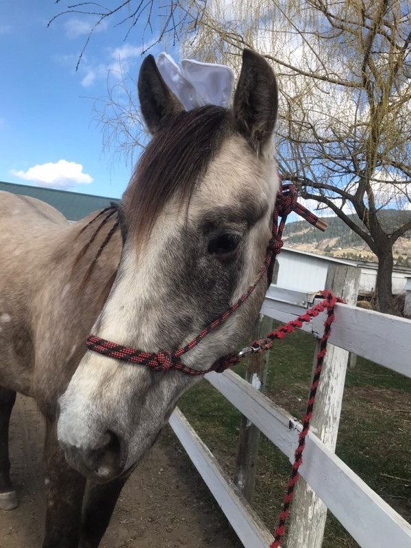 935A2833-A044-4DFF-BA9F-44C82CFD24E0