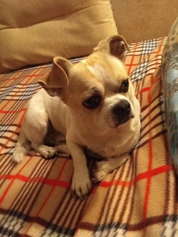 98C0E4CF-126D-4BBF-84E7-569DDDBFC63E