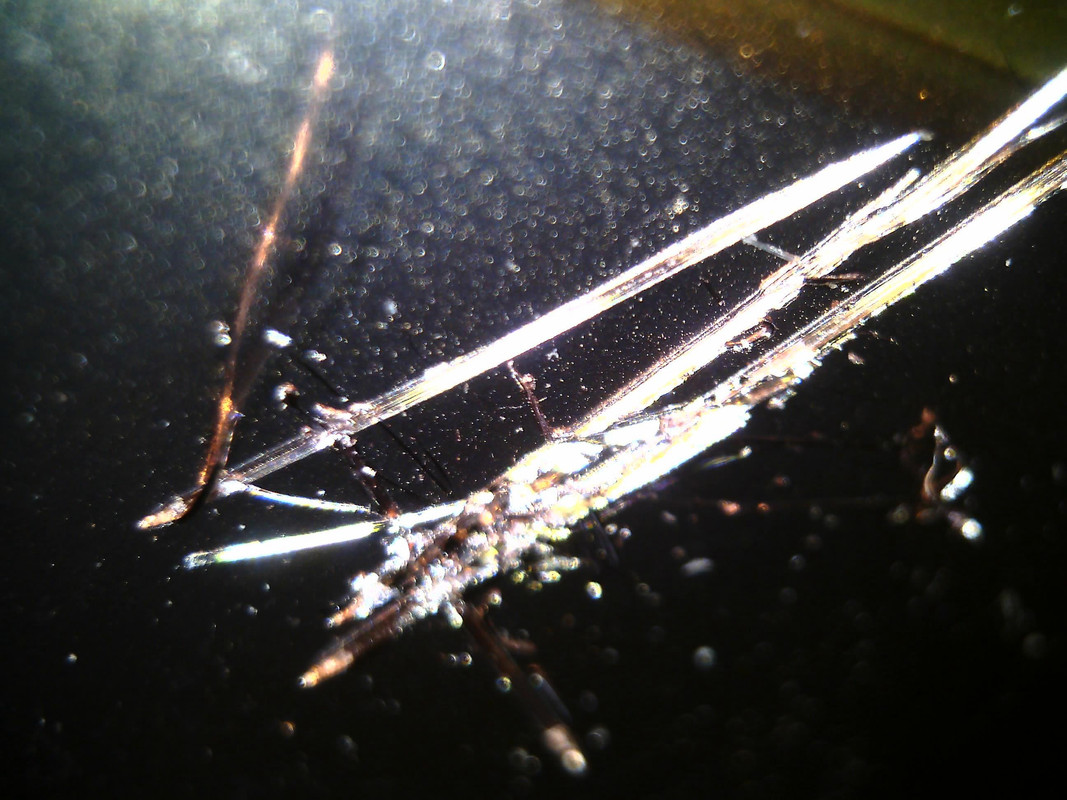 Изображение 011