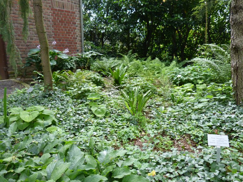 2014-07-13 Arboretum Härle 27