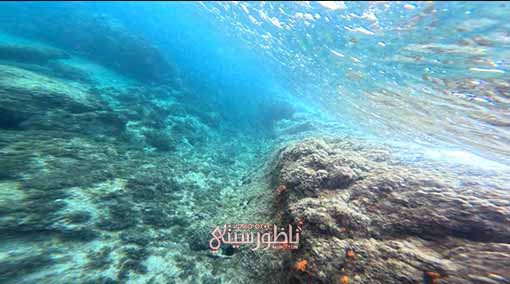 IMG-20240815-WA0043