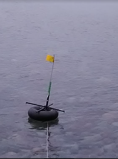flag up