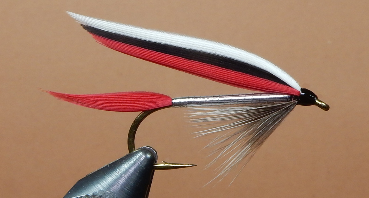 Trout-Fin-Streamer-1080.jpg