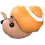 Trapdoor Snail
