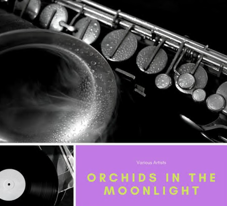 Various Artists Orchids In the Moonlight 2021 - Various Artists - Orchids In the Moonlight (2021)