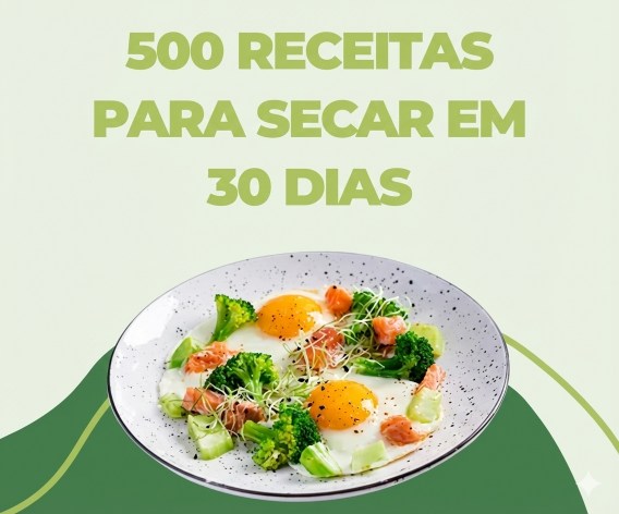 Capa Ebook 500 Receitas para Secar