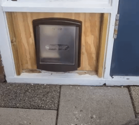 a6d7a7e27d29a7d021891737c49bb509.gif
