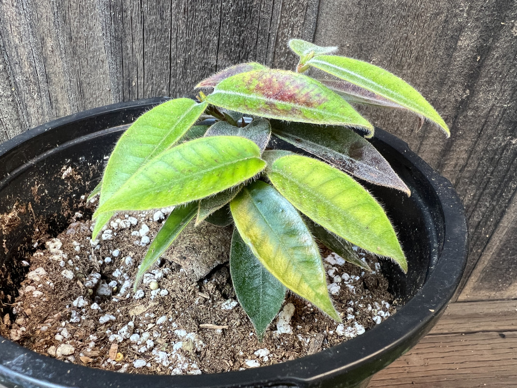 22B45EAC-3908-49EB-8433-903CBDC13078