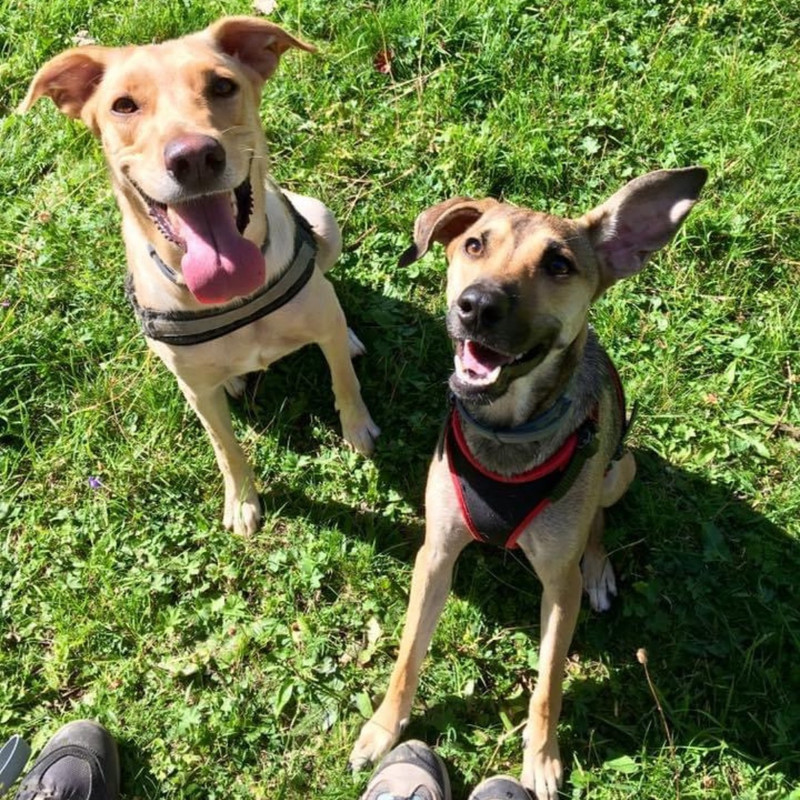 51717A44-9D0F-482F-B889-82DCC8C67700