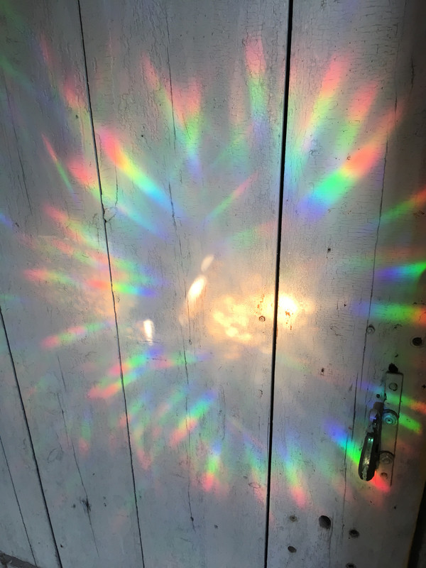 дачное и продажное ребят 040