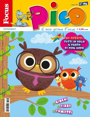 Focus Pico - 6 Giugno 2024