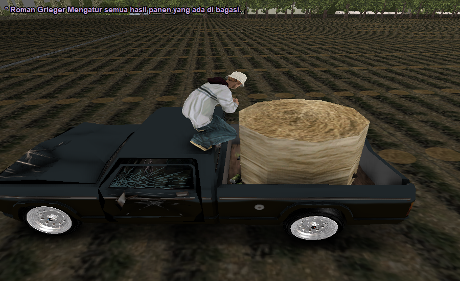 Roman-petani-11.png