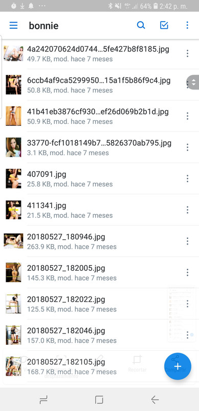 Screenshot-20190118-144248-Dropbox.jpg