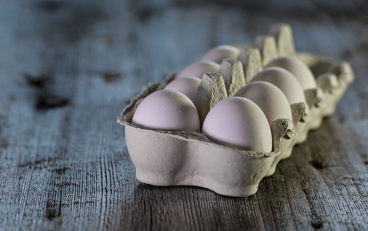 Eating Eggs