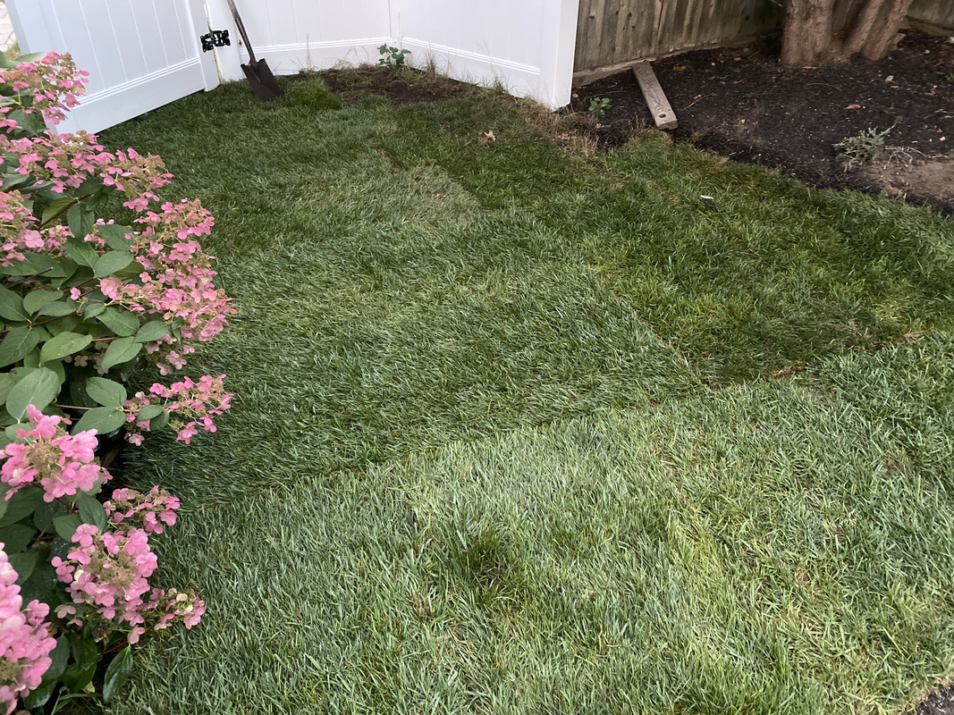 A2C6AB71-0F46-4FED-A990-76C01306FBC1