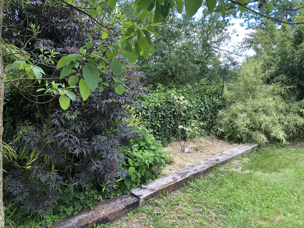 F5DD1CB6-771E-45EF-851D-60067D65FE9B