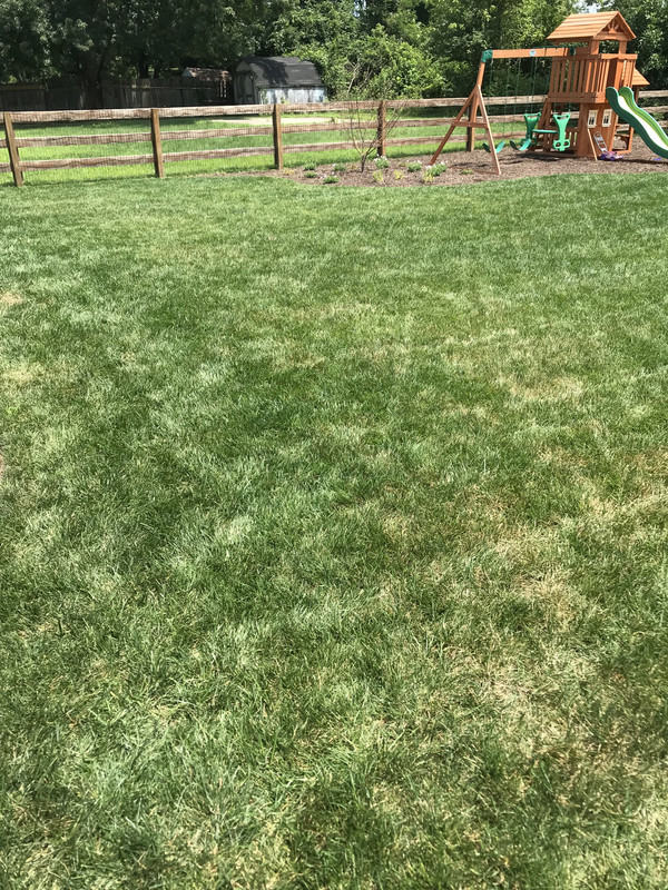 7956F17E-D694-4126-99B7-A6BF1D2FBA4D