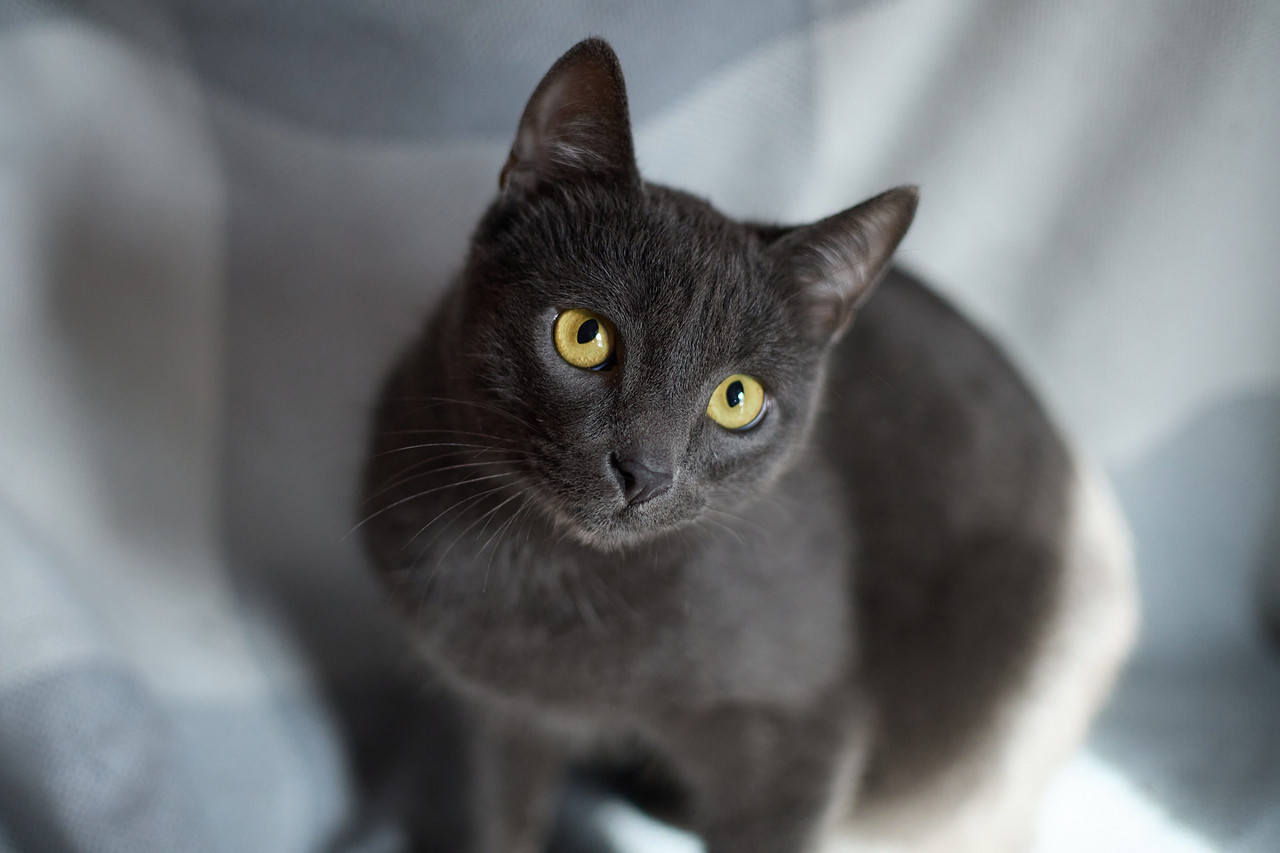 IMG 7714