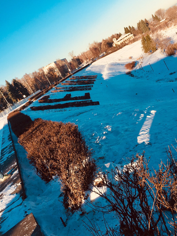 0A8BBBBA-5463-4D6B-BFF0-42E415FDFB4A