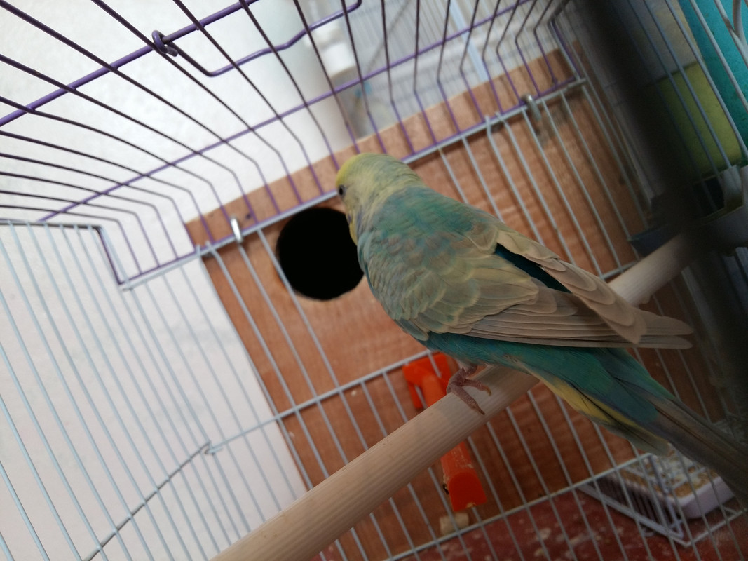 20180506_153355