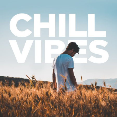 Various Artists - Chill Vibes (2020) mp3, flac