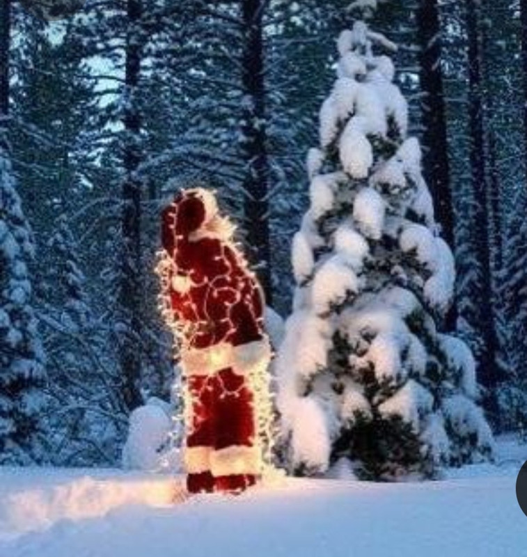 Screenshot_20231118_195740_Pinterest