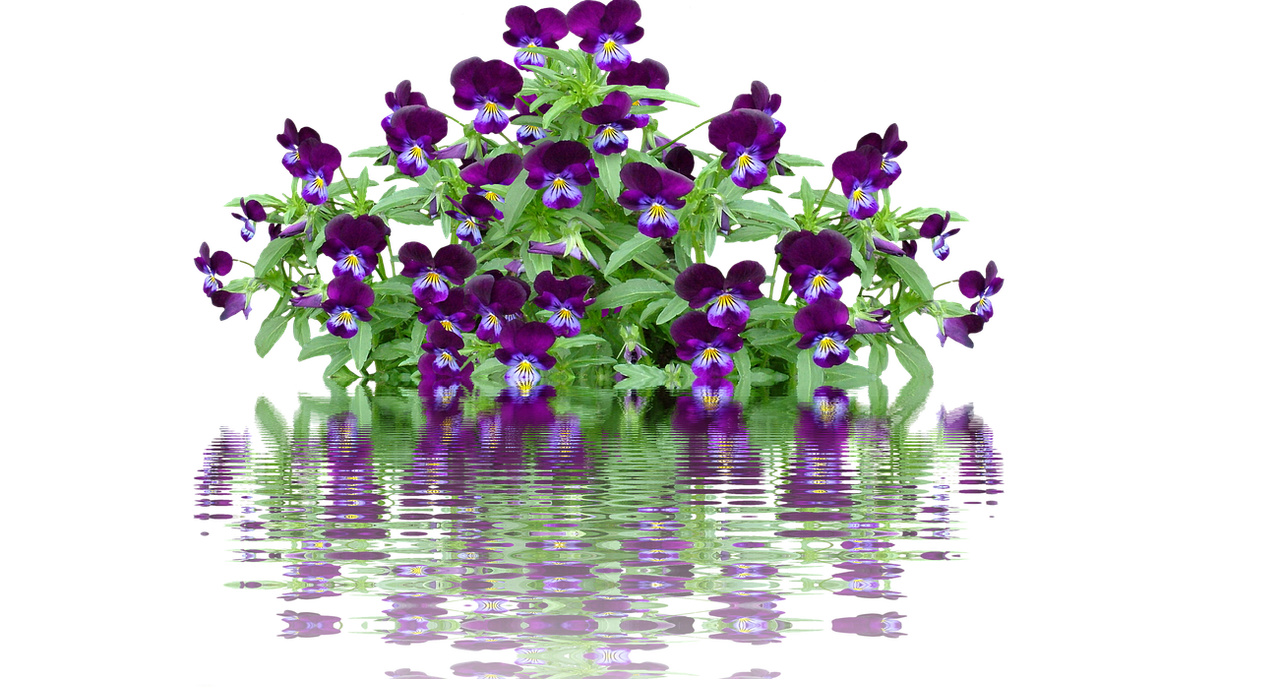 000-12