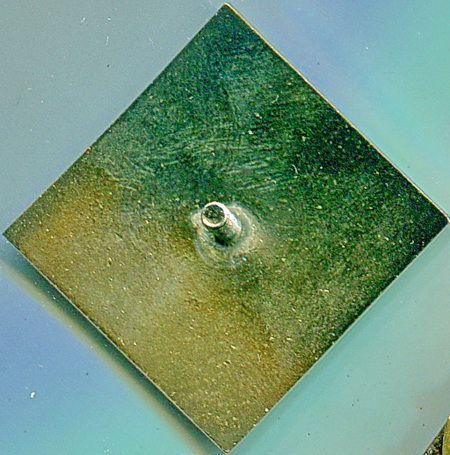 90летСПБобщ.коллекц.о