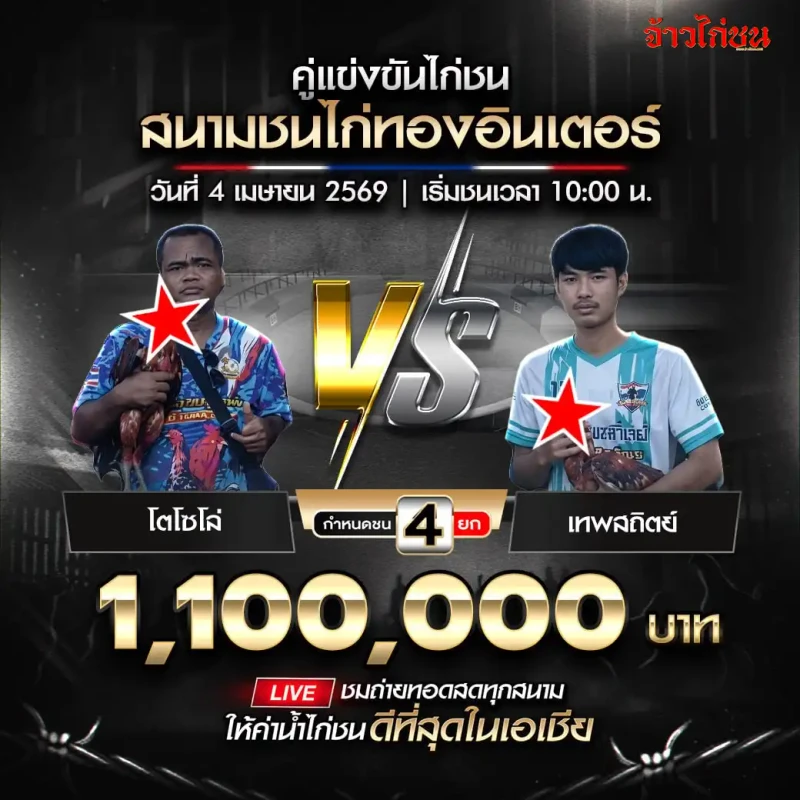 โปรแกรมไก่ชน โตโซโล่ vs เทพสถิตย์ 4 เมษายน 2026