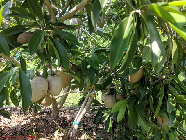 [Image: IMG-20190520-152942.jpg]