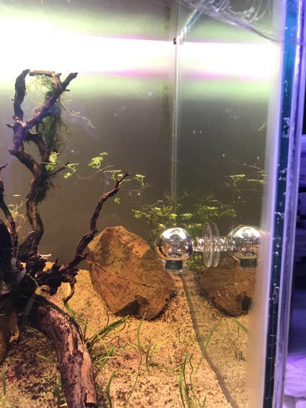 11617C4A-2188-4356-B991-BBAA33898E57