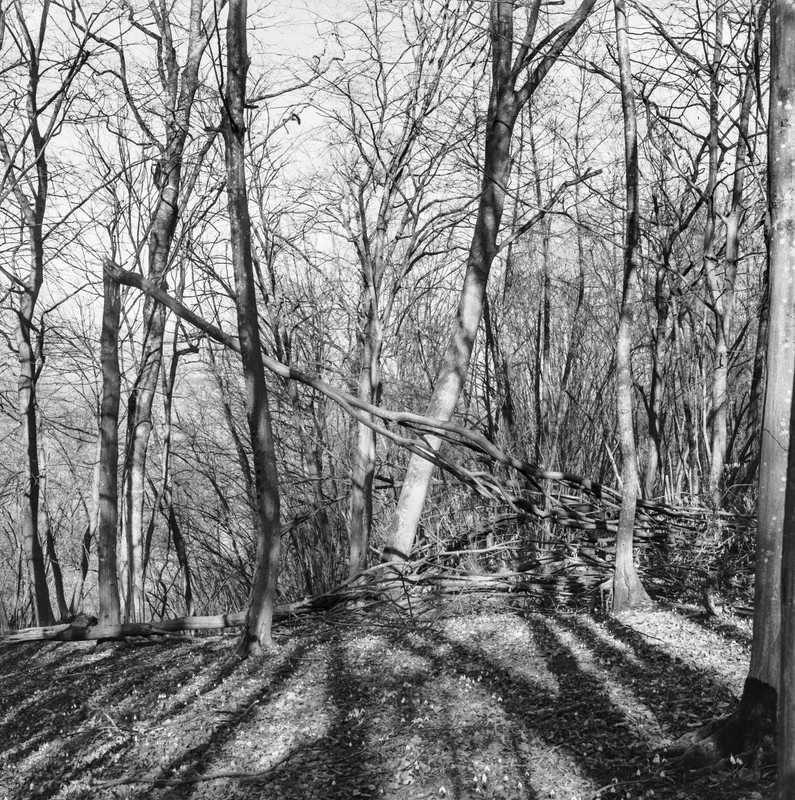 Rolleiflex WF_26feb2022_14 (1272x1280)