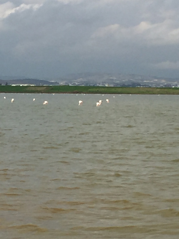 676BB7DC-8ECE-43DB-AD0F-06192BB5D1C7