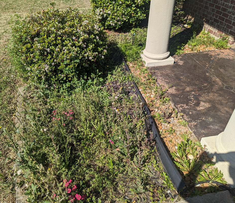 PXL_20230305_163539134