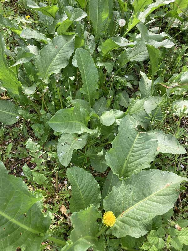 B50D59E8-AFD2-41E7-8751-899487FF67B6