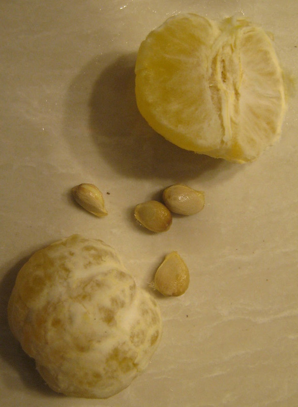 ClemYuz3 3