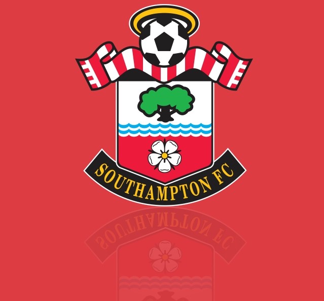 southamptonfc.eth Ethereum Name Service (ENS and .eth domain) PFP